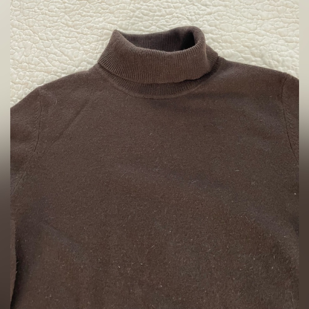 Cashmere by Charter Club (Macy’s) turtleneck sweater